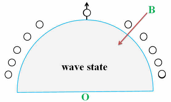 t = 5